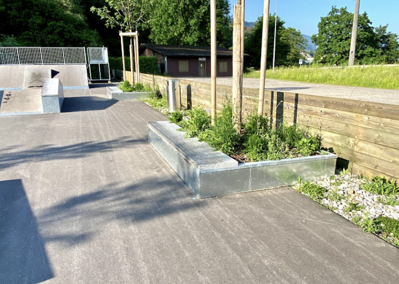 Reussbühl Skatepark